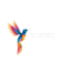 colorful illustrative hummingbird animal logo 1 removebg preview