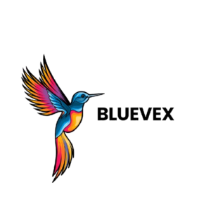 colorful illustrative hummingbird animal logo 2 removebg preview