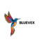 colorful illustrative hummingbird animal logo 2 removebg preview